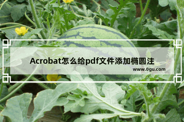 Acrobat怎么给pdf文件添加椭圆注释?