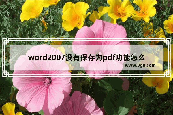 word2007没有保存为pdf功能怎么办