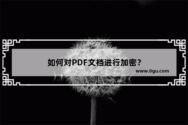 如何对PDF文档进行加密？
