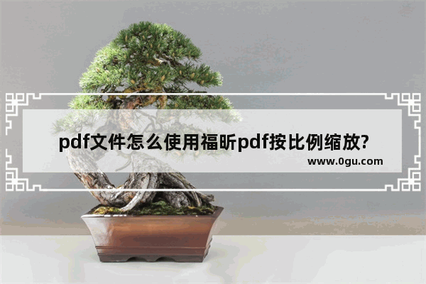 pdf文件怎么使用福昕pdf按比例缩放?