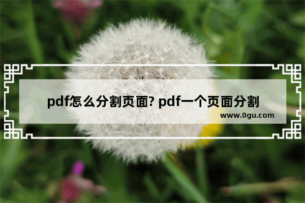 pdf怎么分割页面? pdf一个页面分割成两页的方法