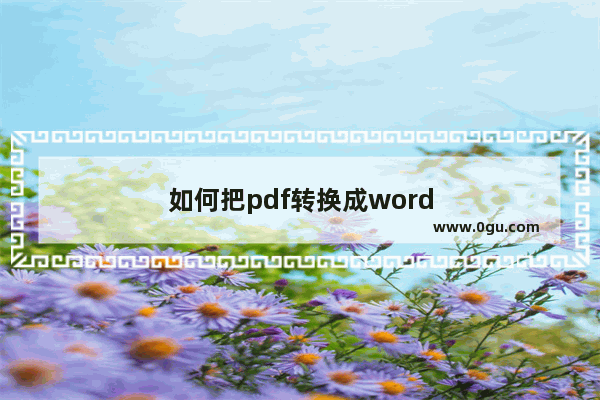 如何把pdf转换成word