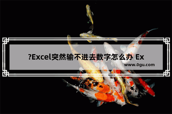 ?Excel突然输不进去数字怎么办 Excel表格解决输入不了数字还跳格的方法教程