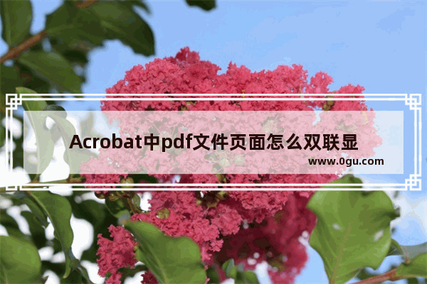 Acrobat中pdf文件页面怎么双联显示?
