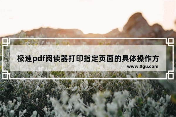 极速pdf阅读器打印指定页面的具体操作方法