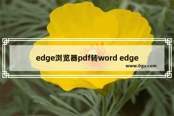edge浏览器pdf转word edge浏览器pdf转word教程