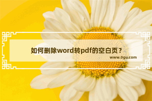 如何删除word转pdf的空白页？