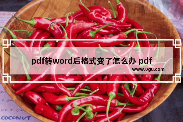 pdf转word后格式变了怎么办 pdf转word格式乱了怎么调整