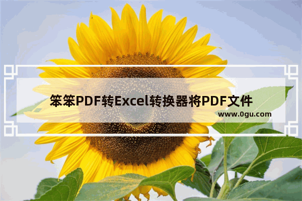 笨笨PDF转Excel转换器将PDF文件转换成Excel文件的方法