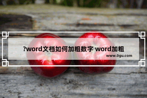 ?word文档如何加粗数字 word加粗文档中全部数字的方法