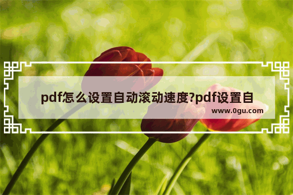 pdf怎么设置自动滚动速度?pdf设置自动滚动速度教程