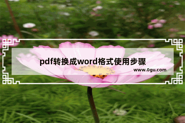 pdf转换成word格式使用步骤