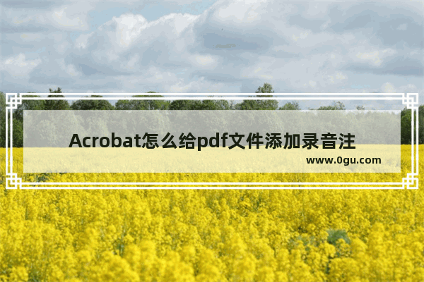 Acrobat怎么给pdf文件添加录音注释? Acrobat添加录音注释的技巧