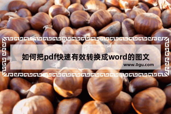 如何把pdf快速有效转换成word的图文教程