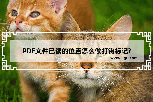 PDF文件已读的位置怎么做打钩标记?