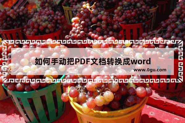 如何手动把PDF文档转换成word