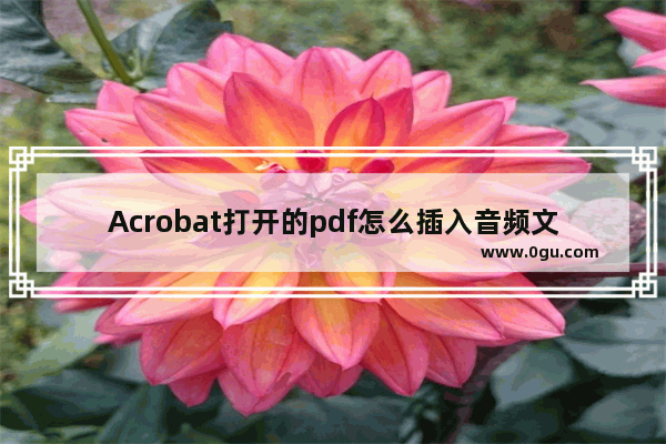 Acrobat打开的pdf怎么插入音频文件?