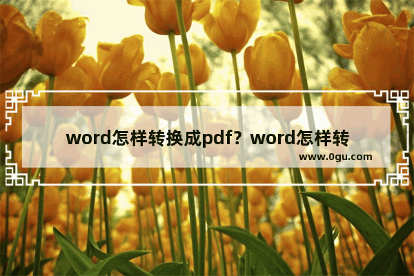word怎样转换成pdf？word怎样转换成pdf技巧介绍