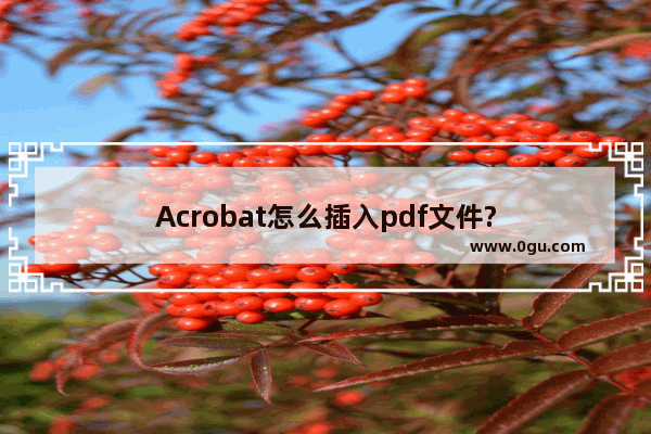 Acrobat怎么插入pdf文件?