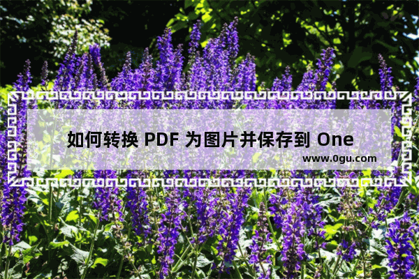 如何转换 PDF 为图片并保存到 OneNote 中