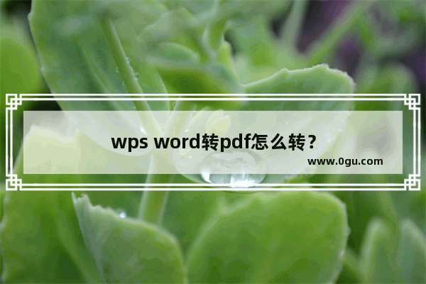 wps word转pdf怎么转？