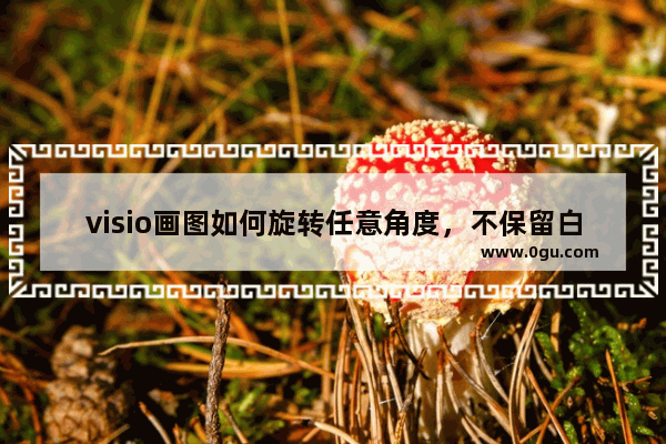 visio画图如何旋转任意角度，不保留白边保存pdf格式
