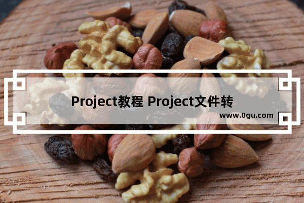 Project教程 Project文件转换为PDF后和打印预览不一样怎么办