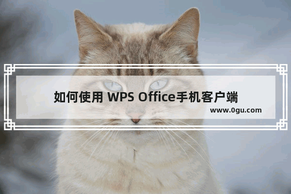 如何使用 WPS Office手机客户端里的 PDF 转 PPT 功能