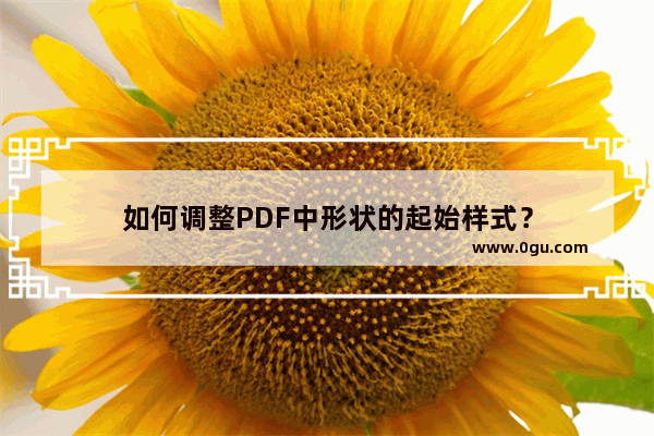 如何调整PDF中形状的起始样式？
