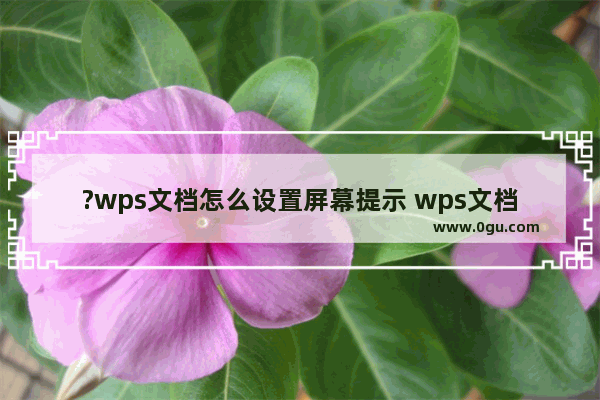 ?wps文档怎么设置屏幕提示 wps文档开启屏幕提示的方法