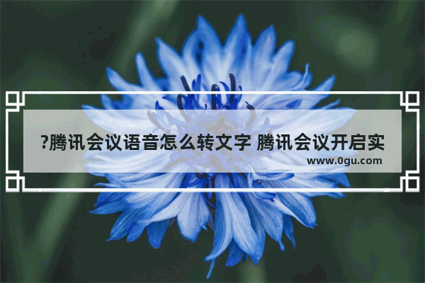 ?腾讯会议语音怎么转文字 腾讯会议开启实时转写的方法教程