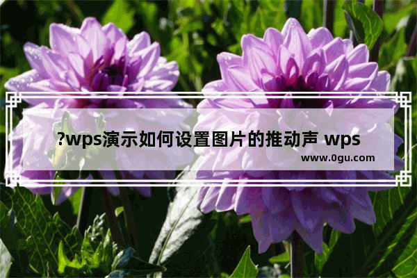 ?wps演示如何设置图片的推动声 wps演示为图片添加播放声音的方法