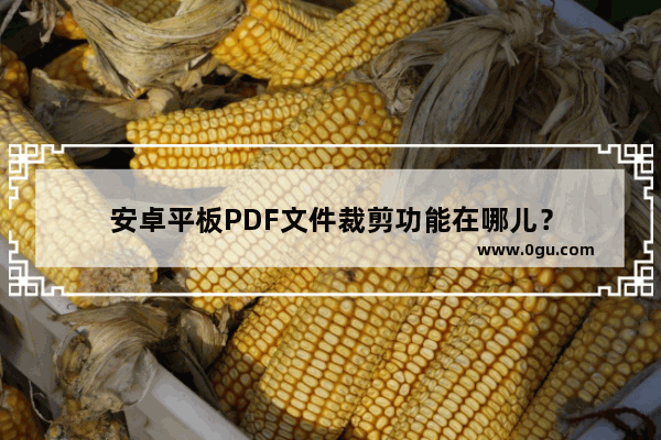 安卓平板PDF文件裁剪功能在哪儿？