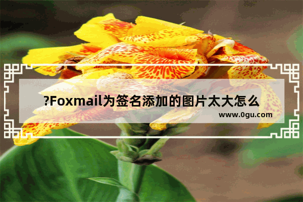 ?Foxmail为签名添加的图片太大怎么调整 Foxmail邮箱调整签名中图片大小的方法教程