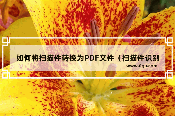 如何将扫描件转换为PDF文件（扫描件识别）？