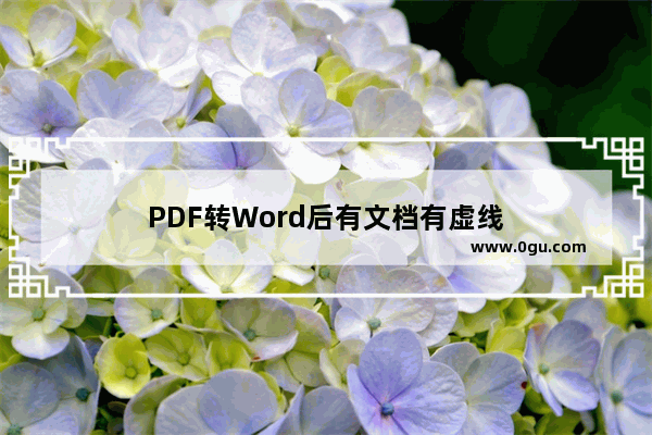 PDF转Word后有文档有虚线