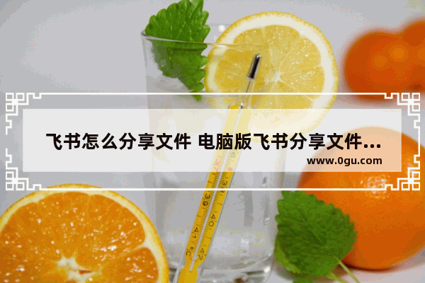 飞书怎么分享文件 电脑版飞书分享文件的方法