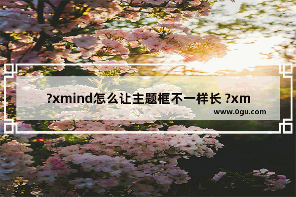 ?xmind怎么让主题框不一样长 ?xmind设置主题框宽度的方法