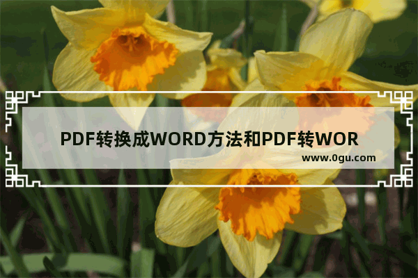 PDF转换成WORD方法和PDF转WORD转换器