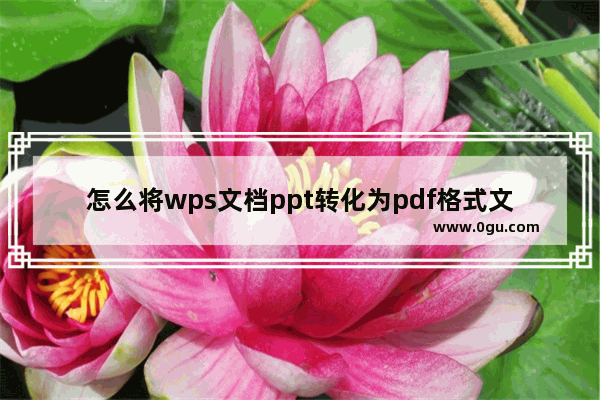 怎么将wps文档ppt转化为pdf格式文件