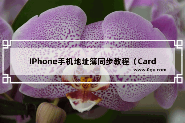 IPhone手机地址簿同步教程（CardDAV）