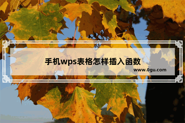 手机wps表格怎样插入函数