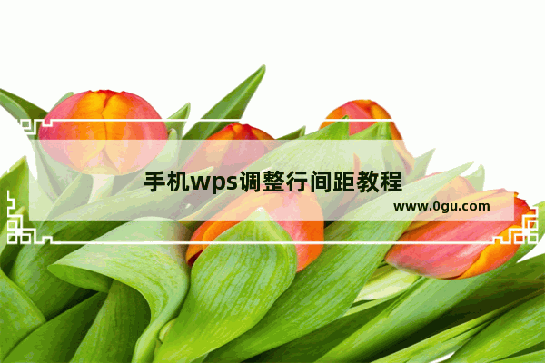 手机wps调整行间距教程