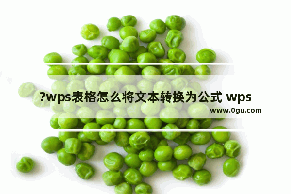 ?wps表格怎么将文本转换为公式 wps表格将文本转换为公式的方法