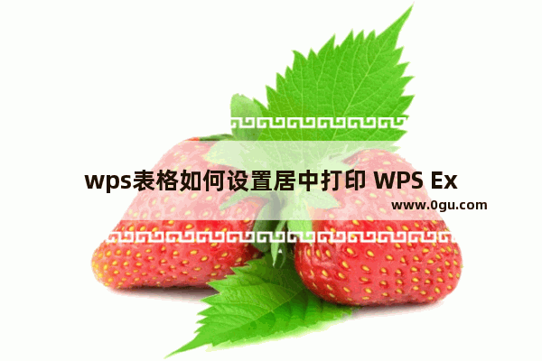 wps表格如何设置居中打印 WPS Excel表格设置居中打印的方法