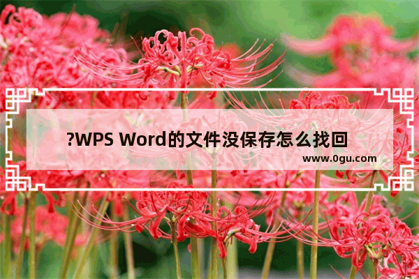 ?WPS Word的文件没保存怎么找回 WPS文档找回未保存文件的方法教程