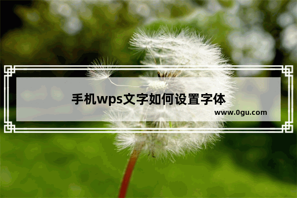 手机wps文字如何设置字体