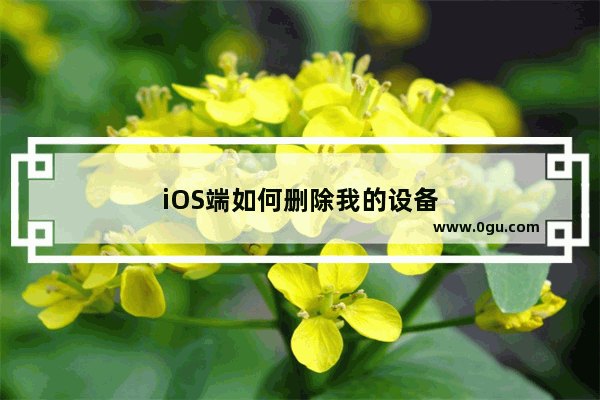 iOS端如何删除我的设备