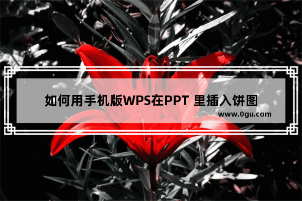 如何用手机版WPS在PPT 里插入饼图
