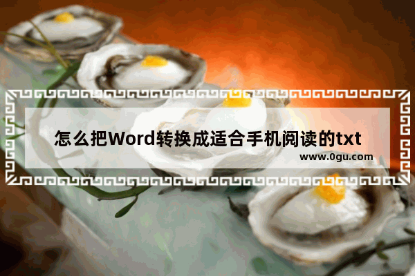 怎么把Word转换成适合手机阅读的txt文本文件格式